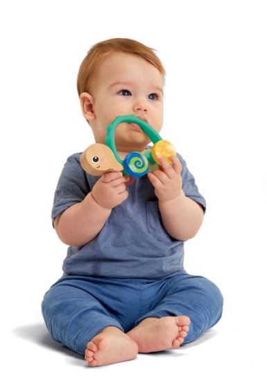 Early Learning Centre Wooden Push Along Turtle Activity Toy V2