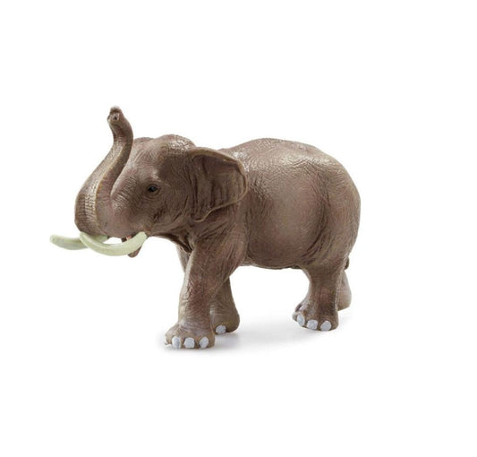Awesome Animals Jungle Animals Assorted