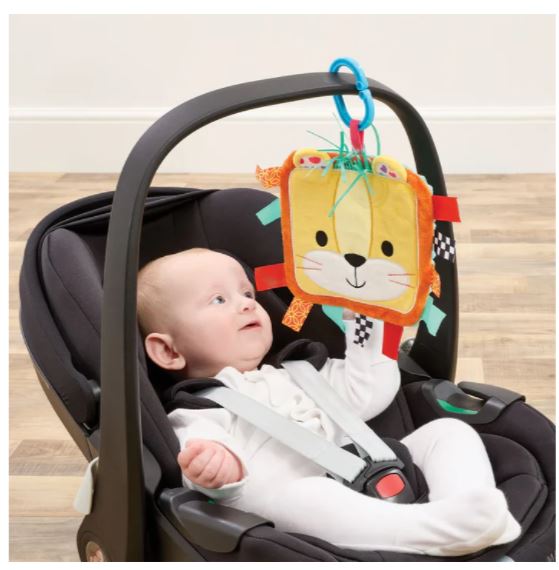 Little Lot Soft Activity Lion