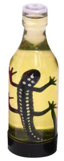 Liquid Lizard