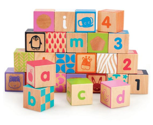 Early Learning Centre Wooden Activity Blocks Playset