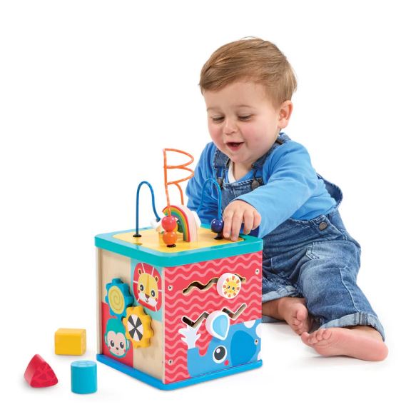 Early Learning Centre Wooden Activity Cube V2