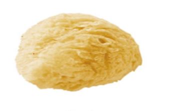 Sponge Natural