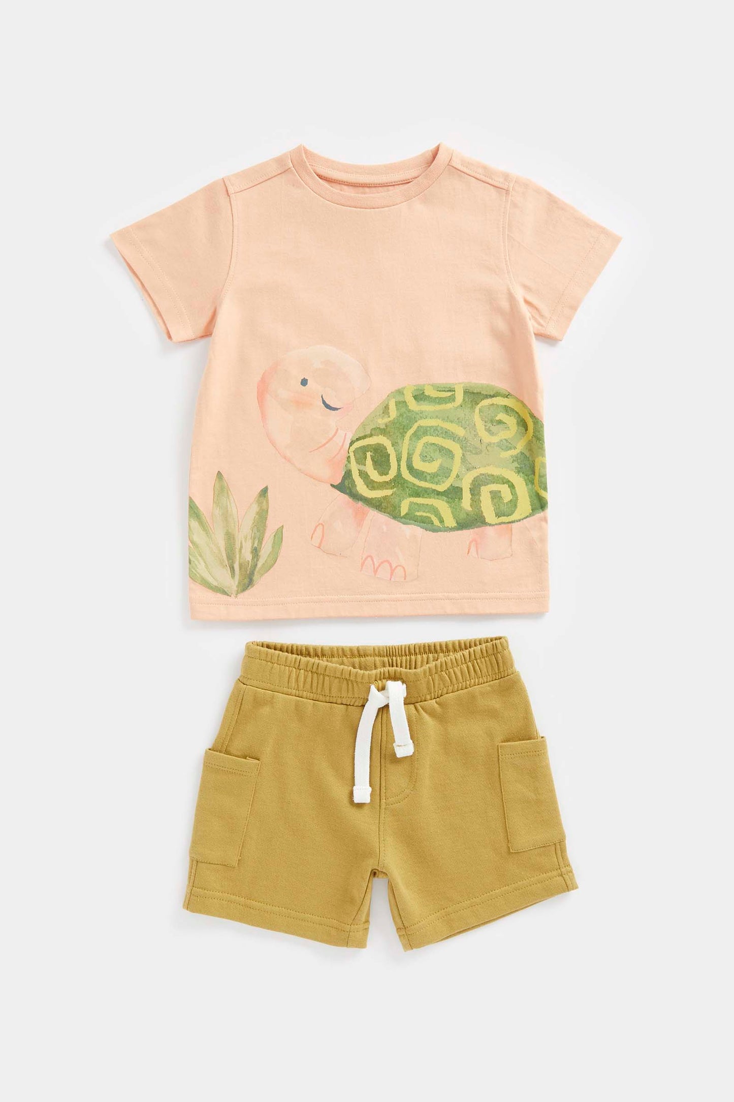 Mini Boys Tortoise T-Shirt And Shorts Set