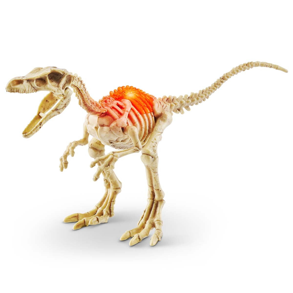 Robo Alive Mini Dino Fossil Find
