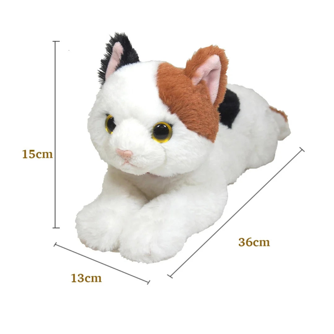 Mike Lap Cat  Toy (Small)