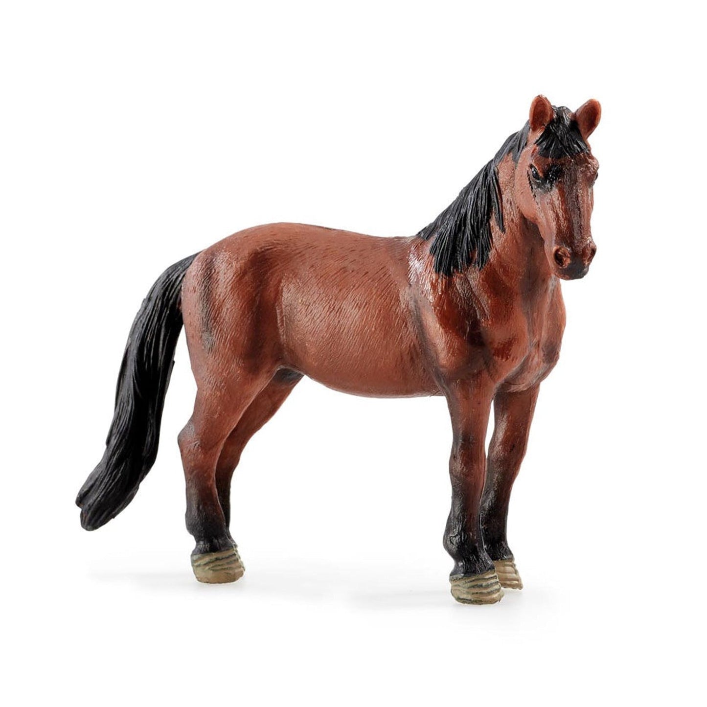 Awesome Animals Farm Animals Assorted