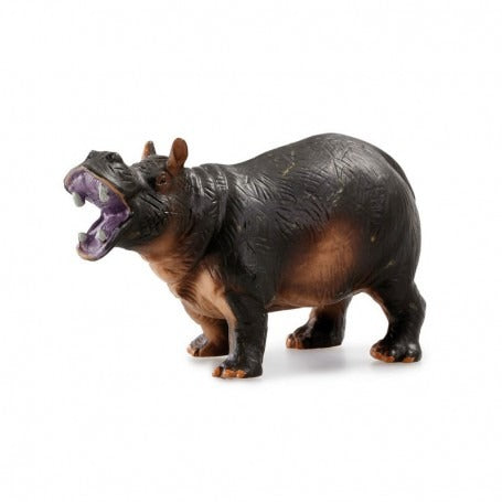 Awesome Animals Jungle Animals Assorted