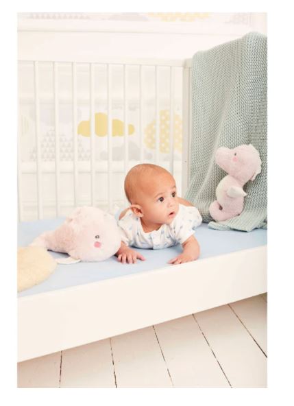 Early Learning Centre Baby Ocean Seahorse