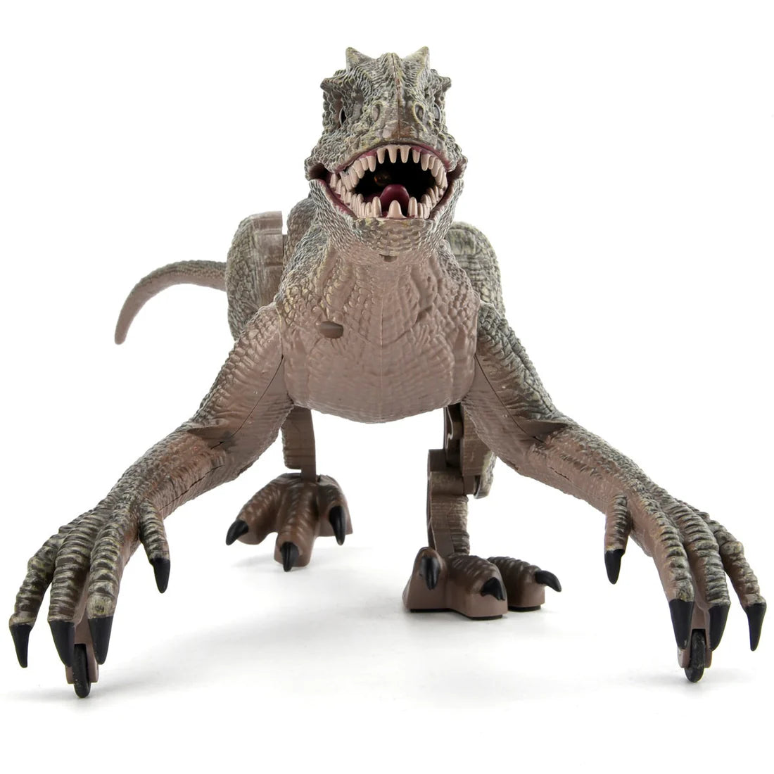Remote Control Roaring Raptor 2.4G Grey