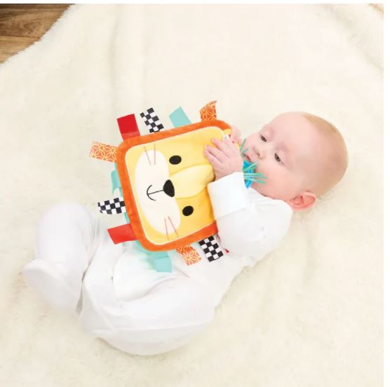 Little Lot Soft Activity Lion