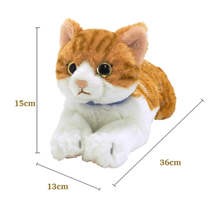 Chashiro Lap Cat  Toy (Small)
