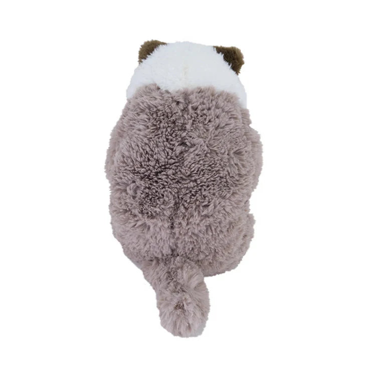 Gbyr Lap Cat Sleeping Ragdoll Toy (Medium)