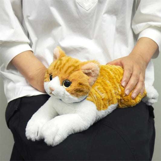 Chashiro Lap Cat  Toy (Small)