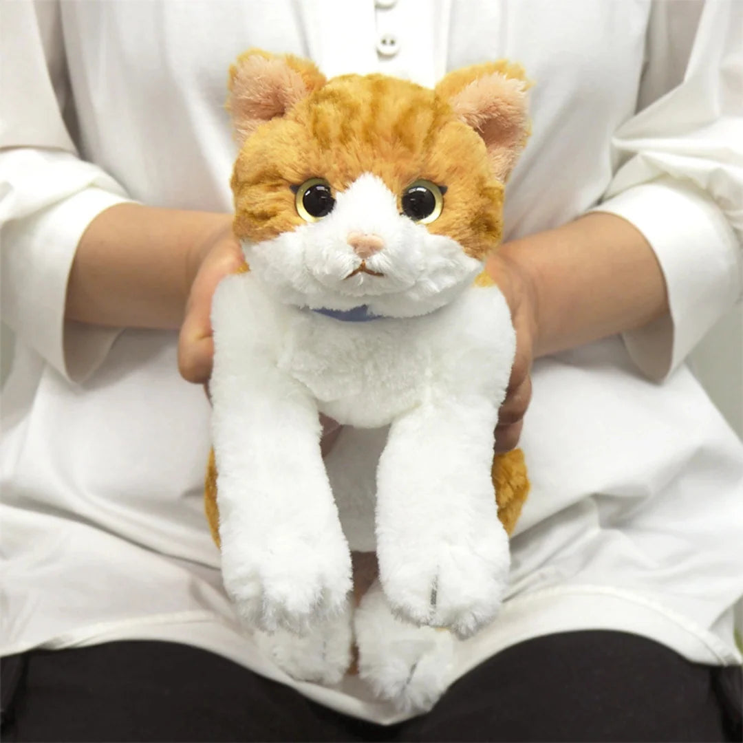 Chashiro Lap Cat  Toy (Small)