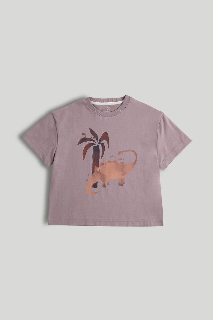 3 Pack Dinosaur T-Shirts