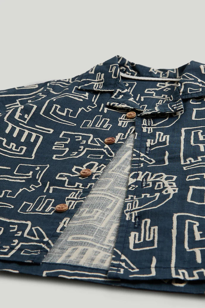 Dinosaur Shirt and T-Shirt Set