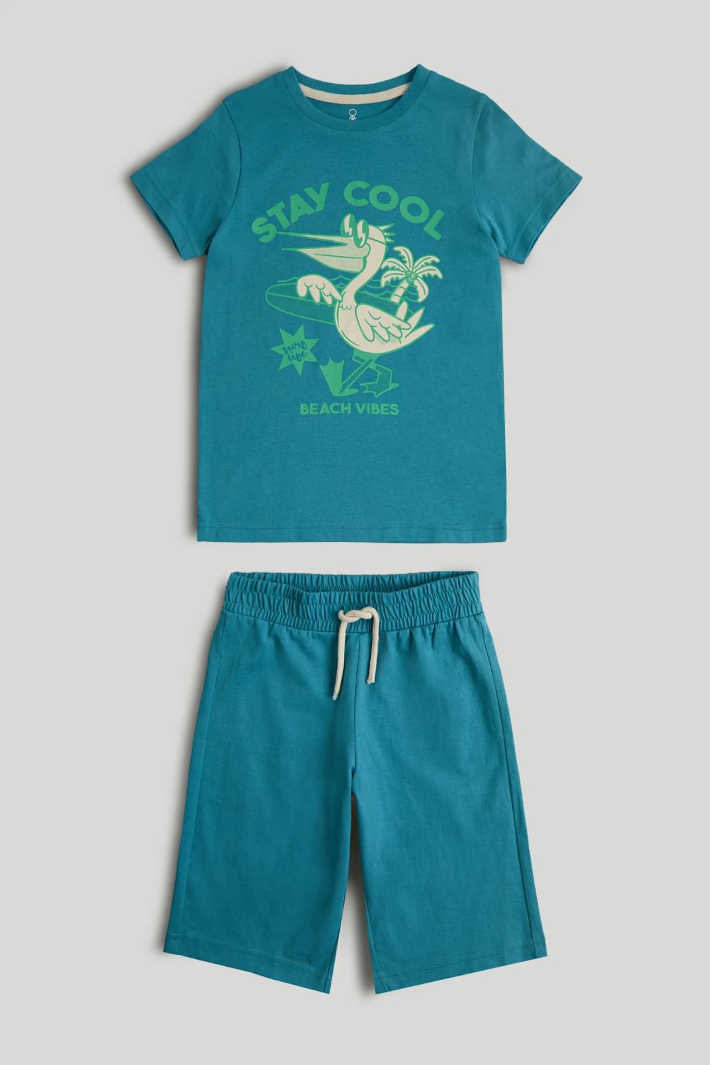 Pelican T-Shirt and Shorts Outfit