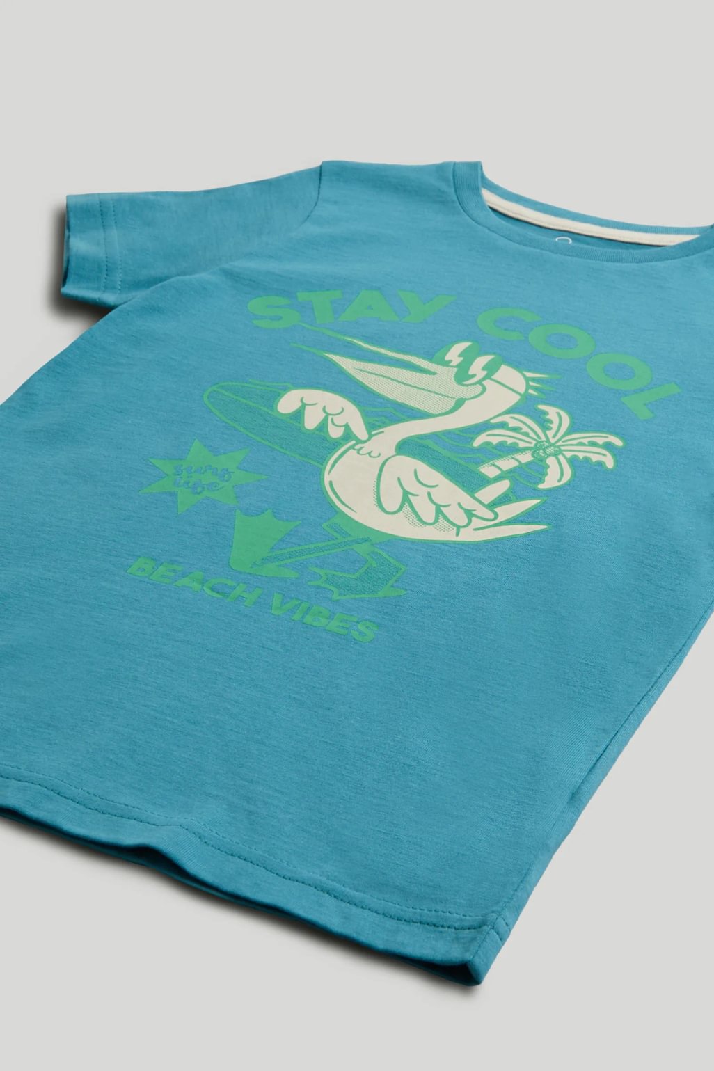 Pelican T-Shirt and Shorts Outfit
