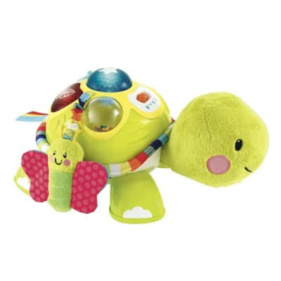 Crawl And Play Tortoise