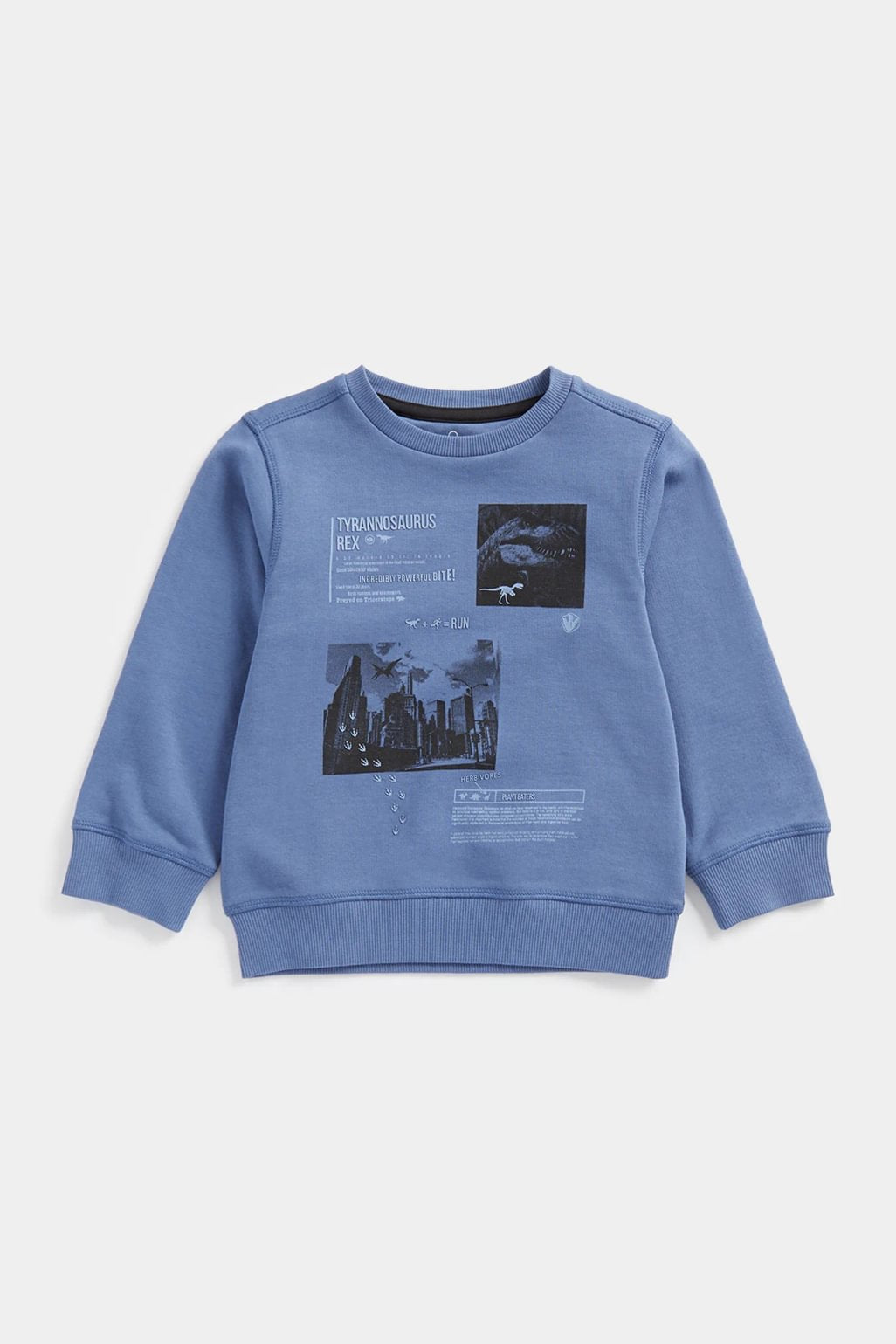 Dinosaur Sweat Top