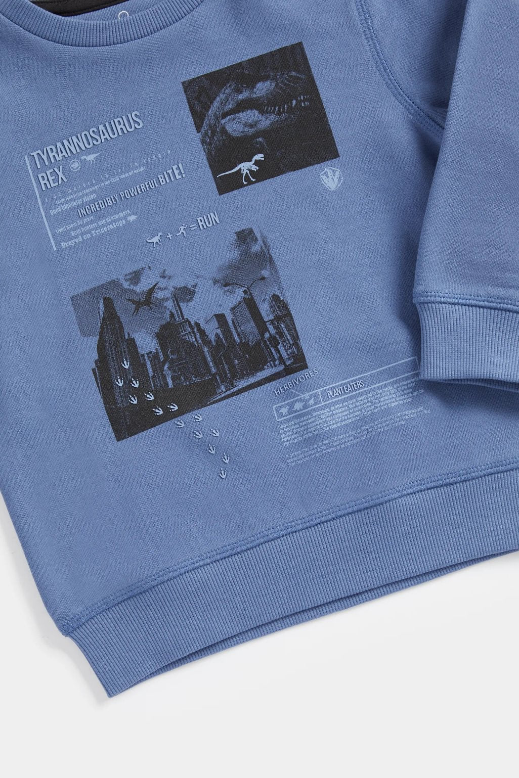 Dinosaur Sweat Top