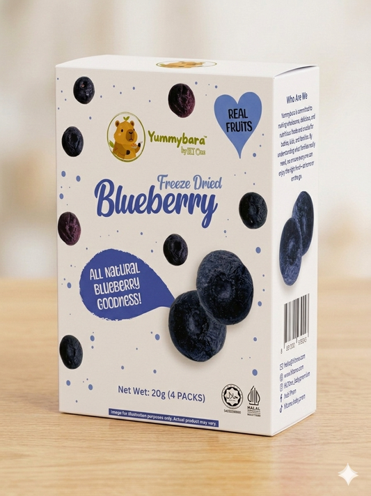 FREEZE DRIED FRUITS BLUEBERRY - 20G