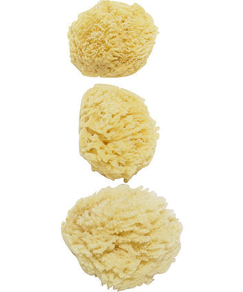 Natural Sponge 3Pk