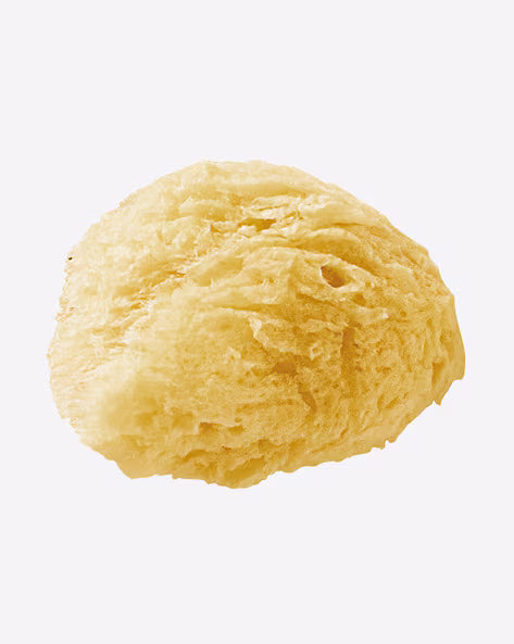 Sponge Natural