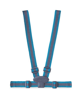 Accessories Essential Harness Teal