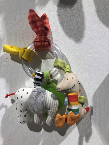 Into The Wild Activity Ring