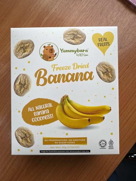 FREEZE DRIED FRUITS BANANA - 20G